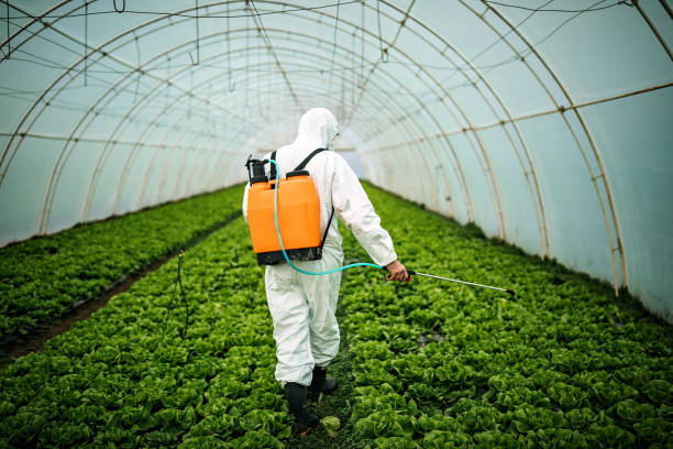 Best Pest Inspection Near Me  in Monee, IL