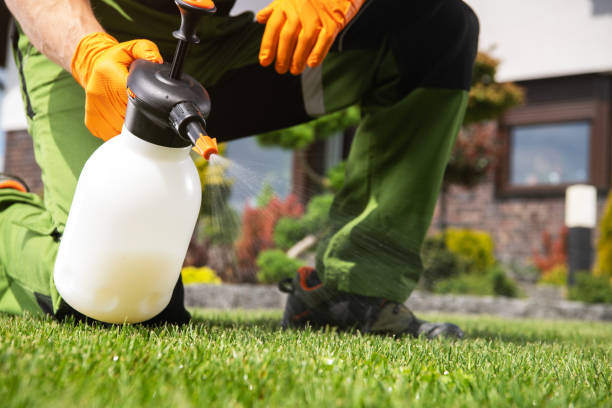 Best Pest Removal Services  in Monee, IL