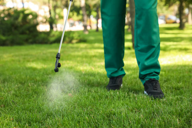 Best Mosquito Control Services  in Monee, IL