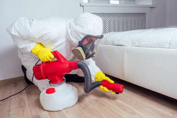 Trusted Monee, IL Pest Control Experts