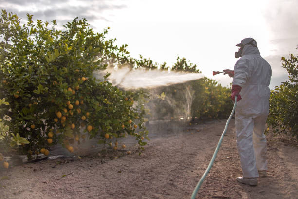 Best Pest Control Near Me  in Monee, IL