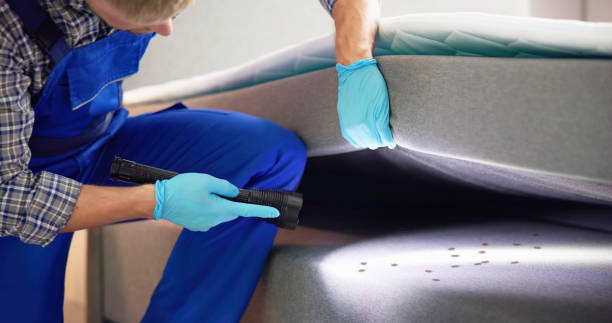 Best Affordable Pest Control Services  in Monee, IL