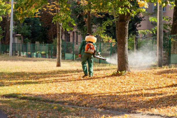 Pest Prevention Services in Monee, IL