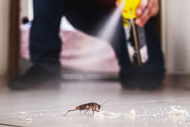 Best Pest Control Treatment  in Monee, IL
