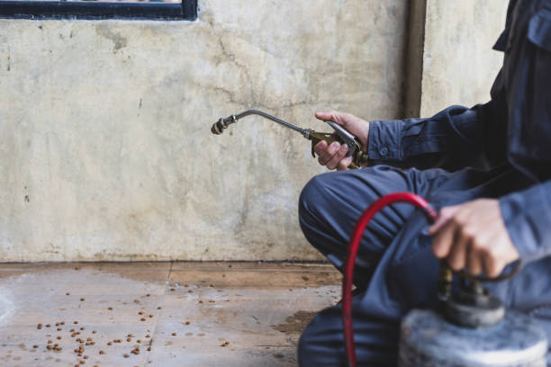 Best Pest Control Near Me  in Monee, IL